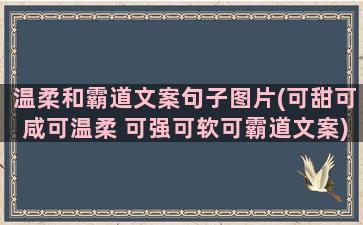 温柔和霸道文案句子图片(可甜可咸可温柔 可强可软可霸道文案)